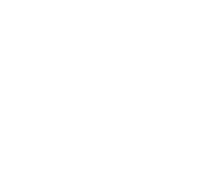ay Dienstleistungen
